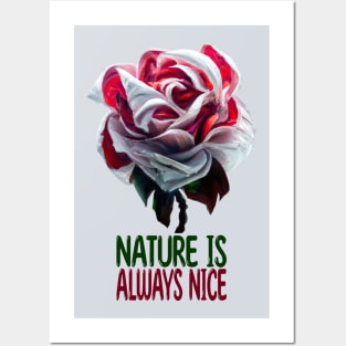 Nature Is Always Nice Posters and Art